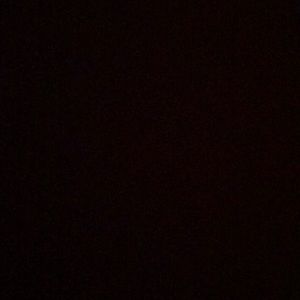 Meet your Posher, Augie